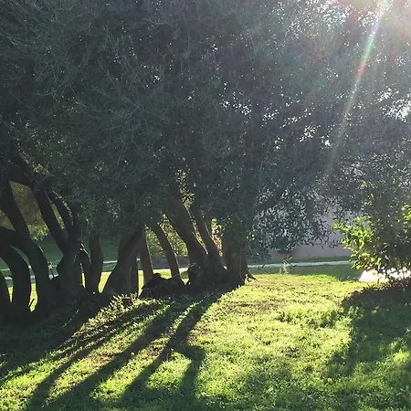 Villa A Suara *