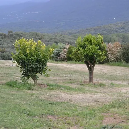 A Suara Villa *